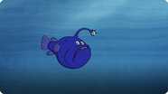 I’m A Football Fish