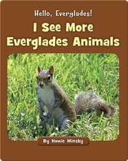 Hello, Everglades!: I See More Everglades Animals