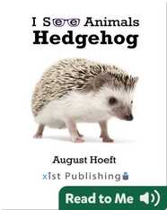 I See Animals: Hedgehog