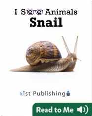 I See Animals: Snail