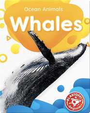 Ocean Animals: Whales