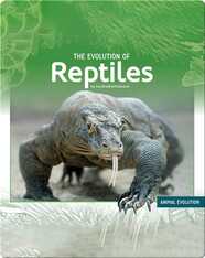 The Evolution of Reptiles