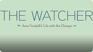 The Watcher: Jane Goodall's Life with the Chimps