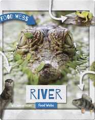 River Food Webs