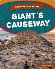 Engineered by Nature: Giant's Causeway