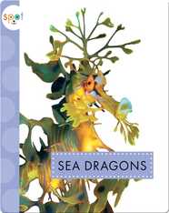 Ocean Animals: Sea Dragons