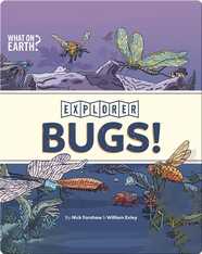 Explorer: Bugs!
