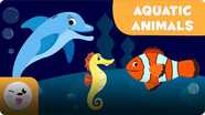 Animal Vocabulary: Aquatic Animals
