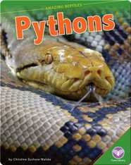 Amazing Reptiles: Pythons