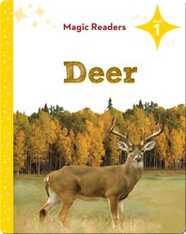 Magic Readers: Deer