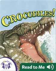 Crocodiles!