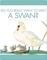 Do You Really Want To Meet A Swan?