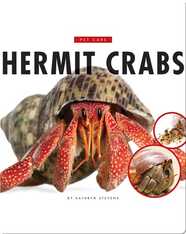 Hermit Crabs