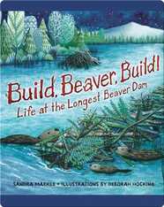 Build, Beaver, Build!: Life at the Longest Beaver Dam