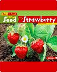 From Seed to Strawberry