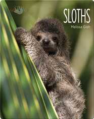 Sloths