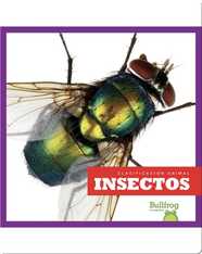 Clasificación Animal: Insectos