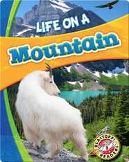 Biomes Alive!: Life on a Mountain