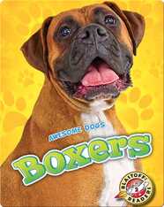 Awesome Dogs: Boxers