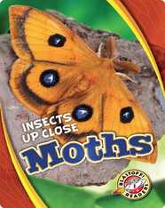 Insects Up Close: Moths