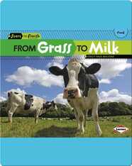 From Grass to Milk
