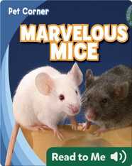 Marvelous Mice