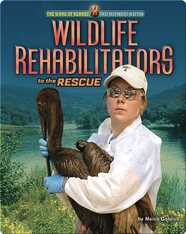 Wildlife Rehabilitators to the Rescue