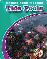 Tide Pools
