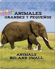 Animales grandes y pequeños / Animals Big and Little