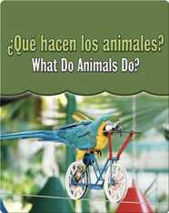 Que Hacen Los Animales?  (What Do Animals Do?)