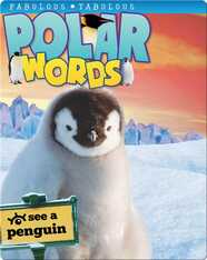 Polar Words
