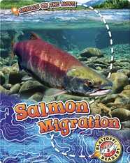 Salmon Migration