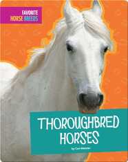 Thoroughbred Horses
