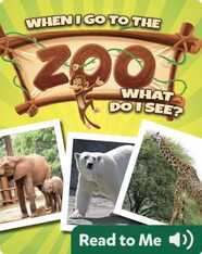 When I Go to the Zoo, What Do I See?