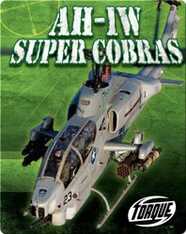 AH-1W Super Cobras