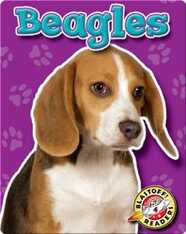 Beagles: Dog Breeds