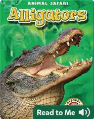 Alligators: Animal Safari