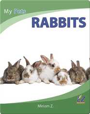 My Pets: Rabbits