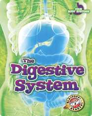 The Digestive System