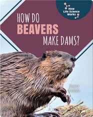 How Do Beavers Make Dams?