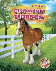 Saddle Up!: Clydesdale Horses
