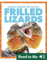 Science Behind the Colors: Frilled Lizards