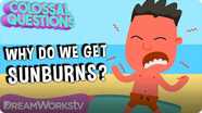 Colossal Questions: Why Do You Get Sunburns?