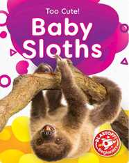 Too Cute!: Baby Sloths