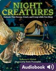 Night Creatures: Animals That Swoop, Crawl, and Creep While You Sleep
