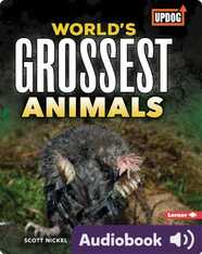 World's Grossest Animals