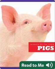 Pigs