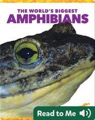 The World's Biggest Amphibians