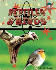 A Project Guide to Reptiles & Birds