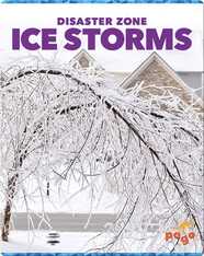 Disaster Zone: Ice Storms